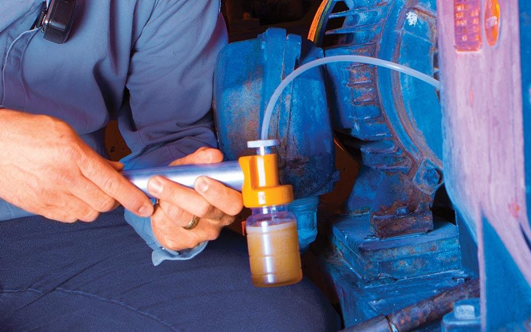 Over Greasing Motor Electric Motor Failures Due to Grease Incompatibility - Knower Network