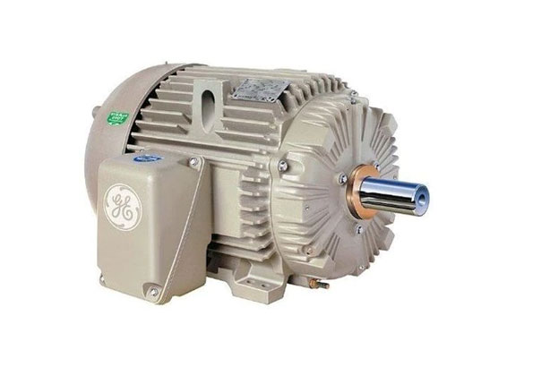 Considerations when repairing a Two-Pole Electric Motor