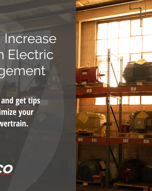 Reduce Costs, Increase Reliability with Electric Motor Management