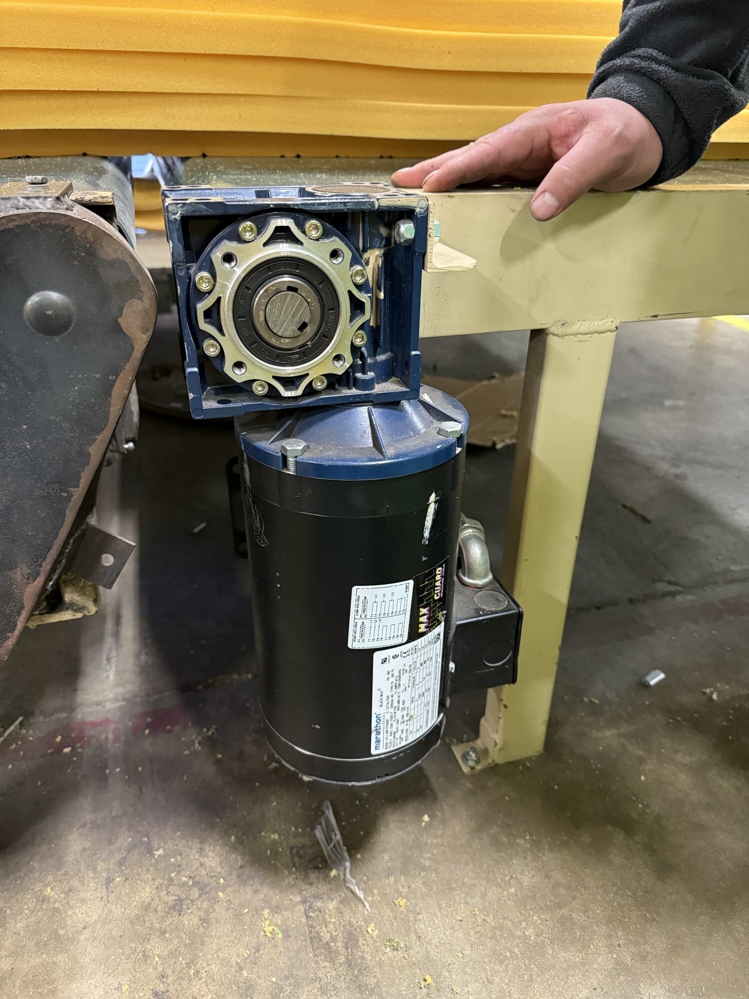 What Does Noise Tell You About Your Electric Motor?