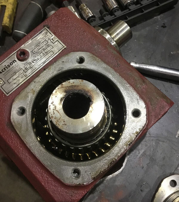 Comprehensive Guide to Electric Motor Bearing Types and Applications